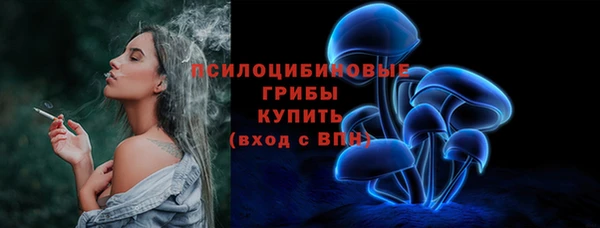 2c-b Алексин