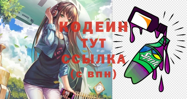 крисы Абаза