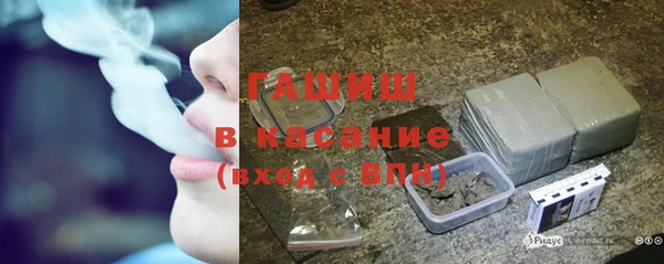 крисы Абаза